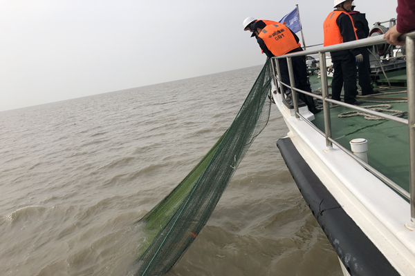 长江口水域开展非法捕捞清理整治 保护生物多样性
