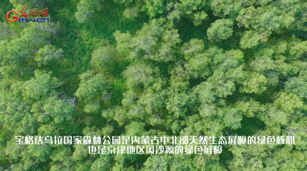 诗e中国行｜内蒙古东乌旗：看壮美草原与原始森林的浪漫“牵手”