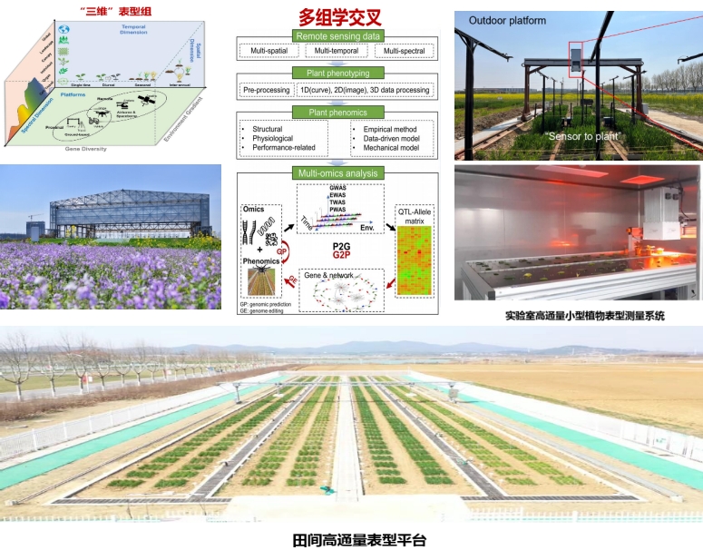 植物表型组学——用前沿科技铺陈翌日农业画卷