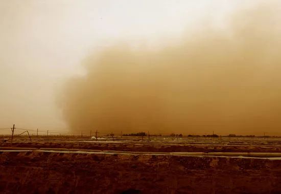 沙尘暴来临，农牧民应当如何预防？