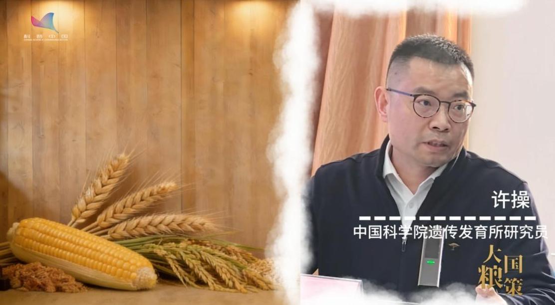 饭碗里的“底气”：更聪明的作物，更智慧的培育