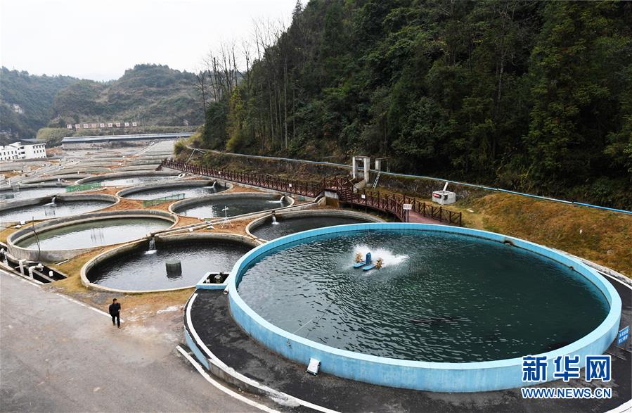 贵州江口：生态产业促增收
