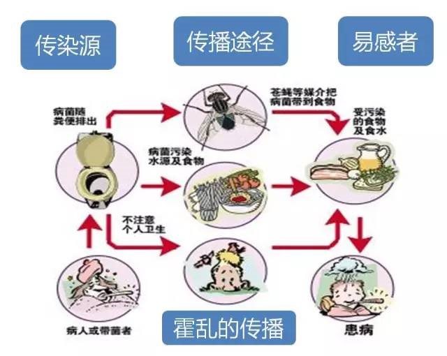 新型冠状病毒有可能“粪口传播”，农村防疫应重点警惕！