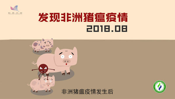 动画｜阻击非洲猪瘟：科学家如何打响“猪肉保卫战”？