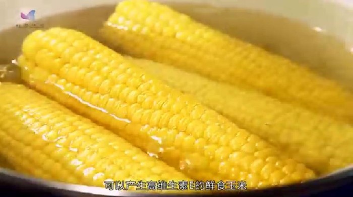 【十问基因编辑】科学家如何让玉米天赋异秉?