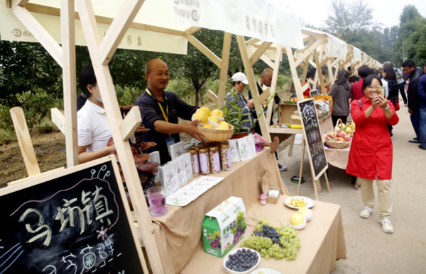 北京平谷区举办2020年中国农民丰收节庆祝活动