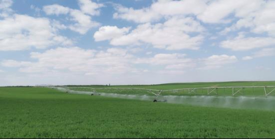 先进节水灌溉技术 补齐乡村振兴短板——全国科技助力精准扶贫纪实