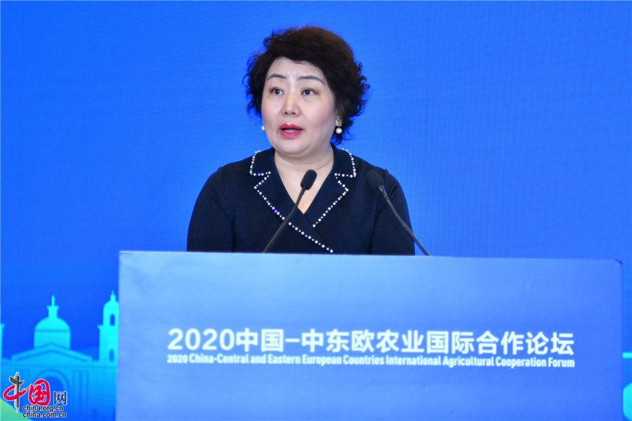 2020中国-中东欧农业国际合作论坛在成都青白江区举行