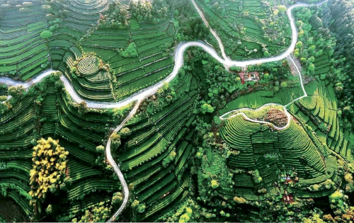 山重水复终有路——重庆现代山地特色高效农业观察
