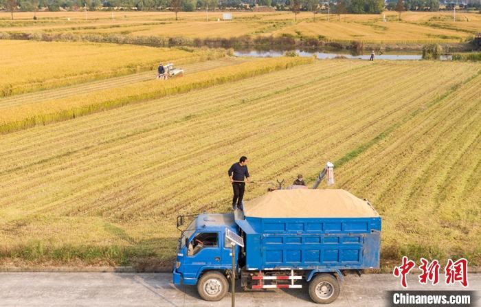 2021年中国粮食产量再创新高