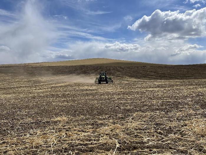 中国最大的天然燕麦种植基地蒙北燕麦迎来播种季