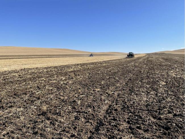 中国最大的天然燕麦种植基地蒙北燕麦迎来播种季