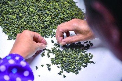 【保护历史遗存，坚定文化自信①】植根沃野千百载，农业文化正葳蕤