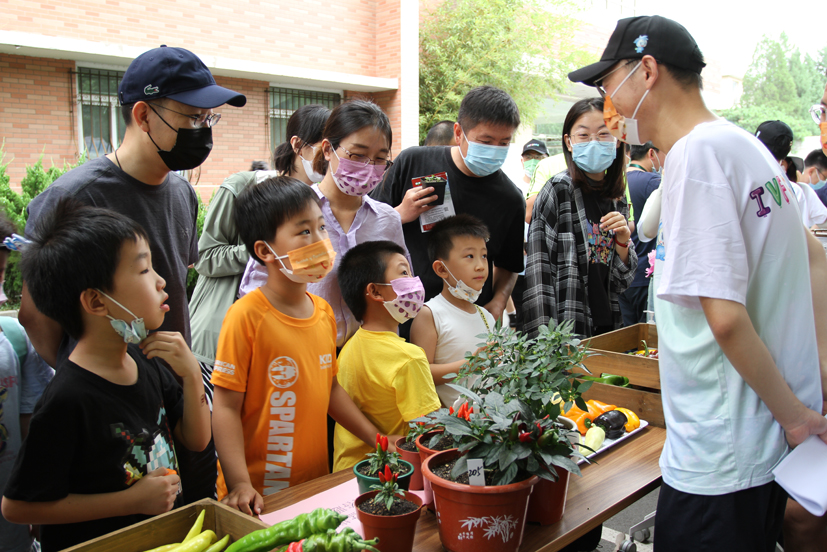 农科院蔬菜花卉研究所举办主题开放日活动