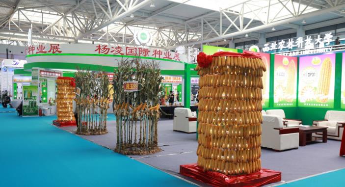 第二十九届中国杨凌农业高新科技成果博览会在杨凌示范区开幕