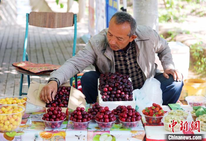 新疆喀什市樱桃陆续成熟采摘 激发消费潜力带动乡村旅游