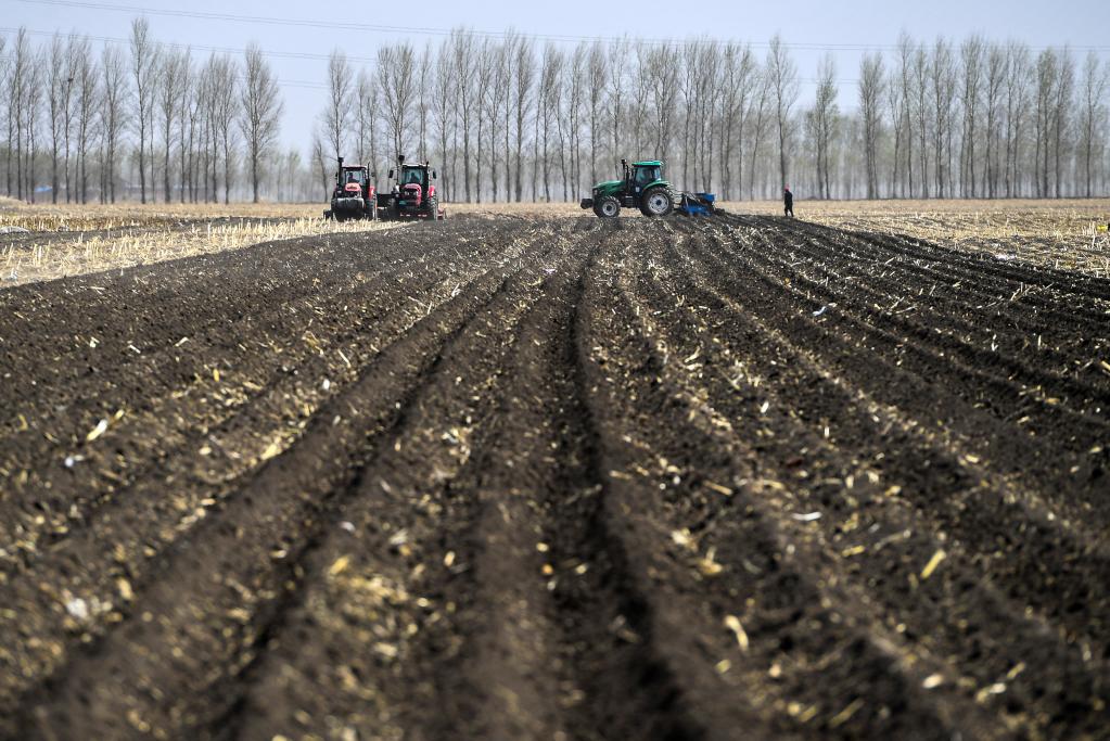 黑土地耕作模式变化：保护性耕作“版图”不断扩大
