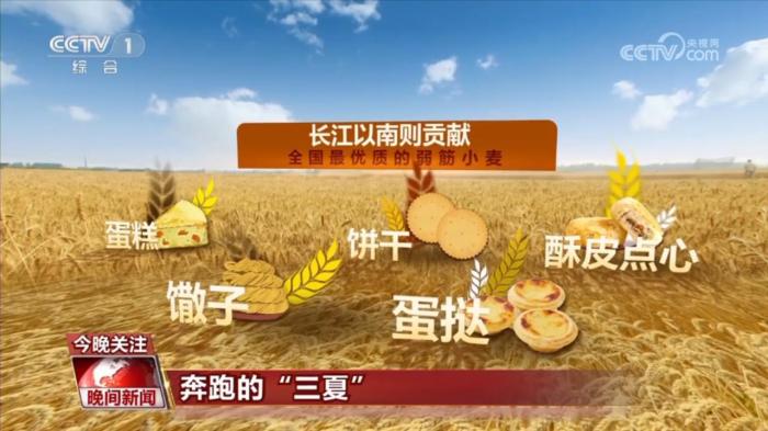 中国丰收地图：风吹麦浪的盛夏