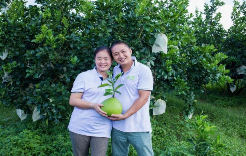 安烁宇：扎根海岛，“柚子夫妇”助力产业振兴