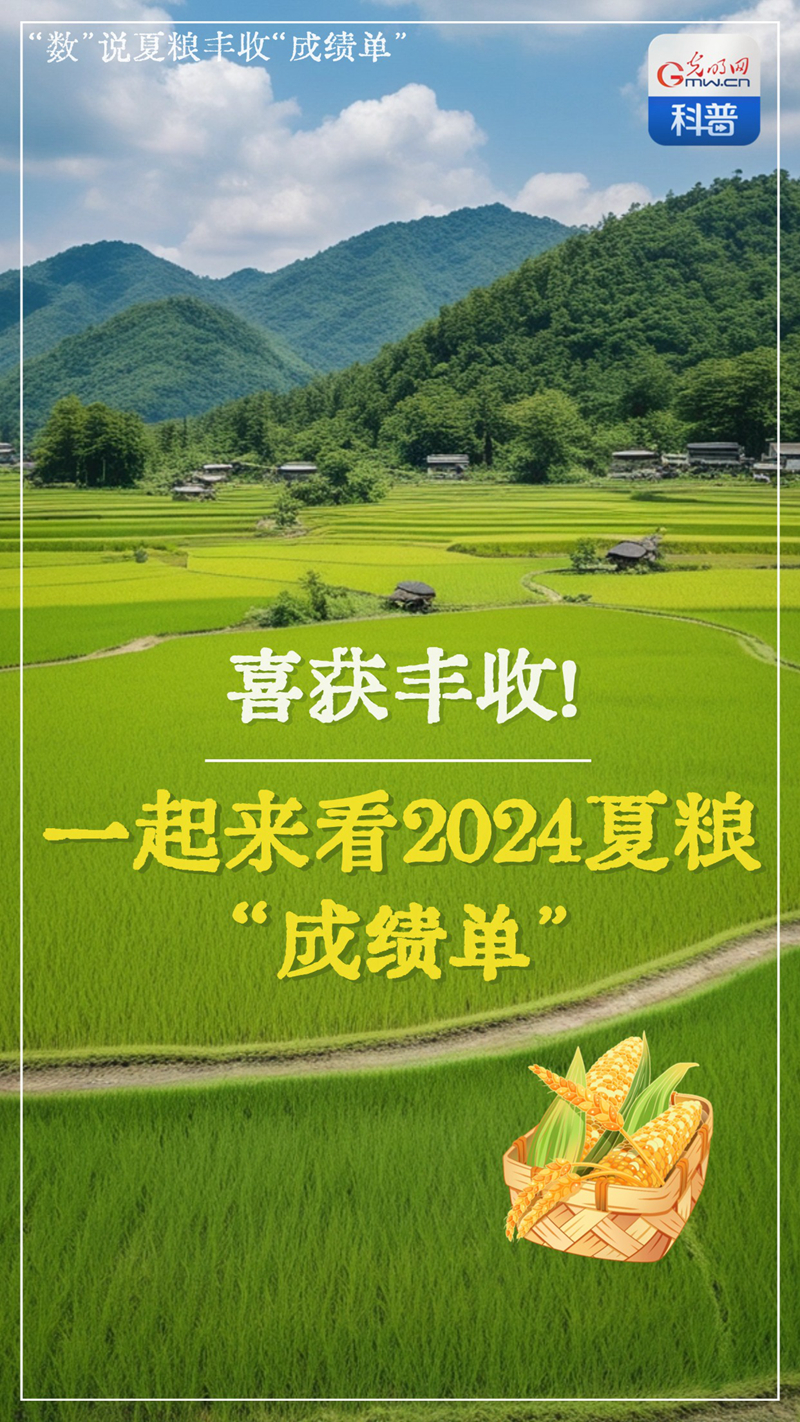 AIGC海报丨喜获丰收！一起来看2024年夏粮“成绩单”