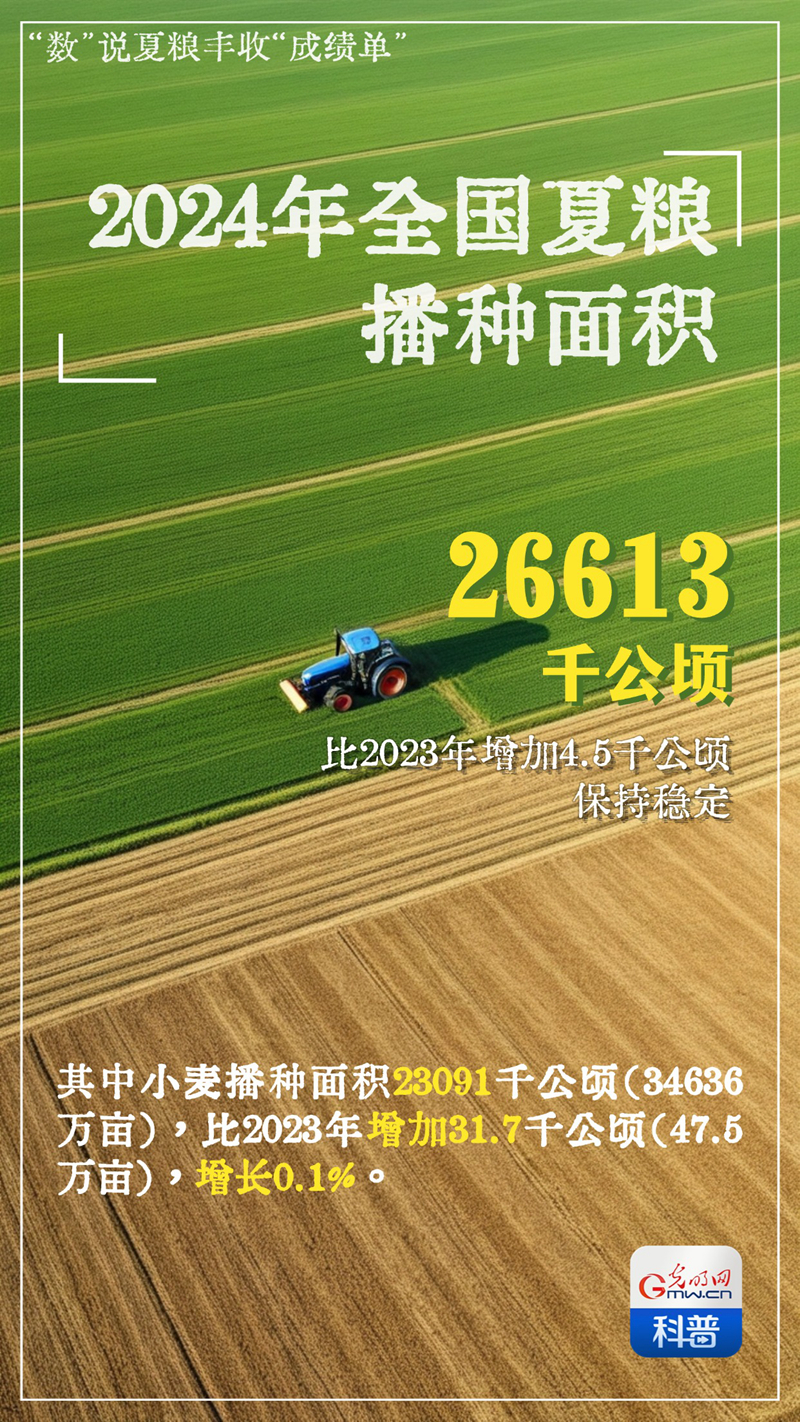 AIGC海报丨喜获丰收！一起来看2024年夏粮“成绩单”