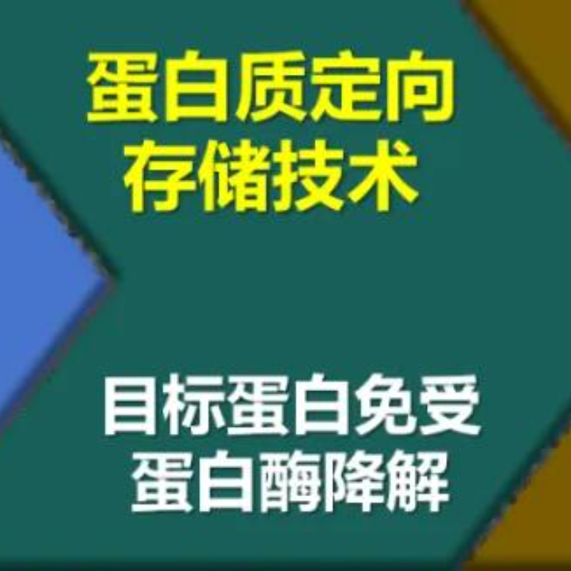 全球领跑：生物技术构筑“稻田造血厂”