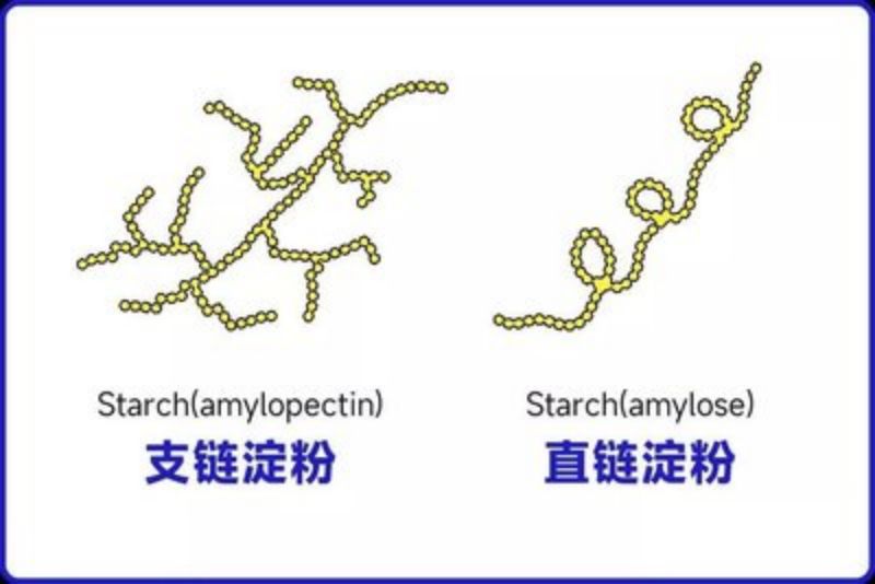 基因工程技术助力马铃薯产量品质双升级