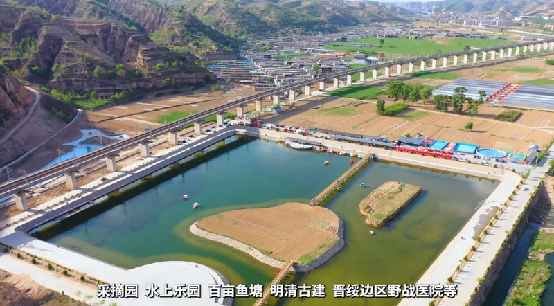 【乡村振兴有我】山西临县张侯文：苇田千亩育“金叶” 非遗粽香织“富网”