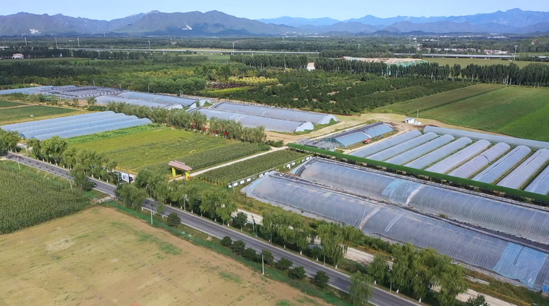 【乡村振兴有我】北京市顺义区陈领：以农机革新驱动现代农业腾飞