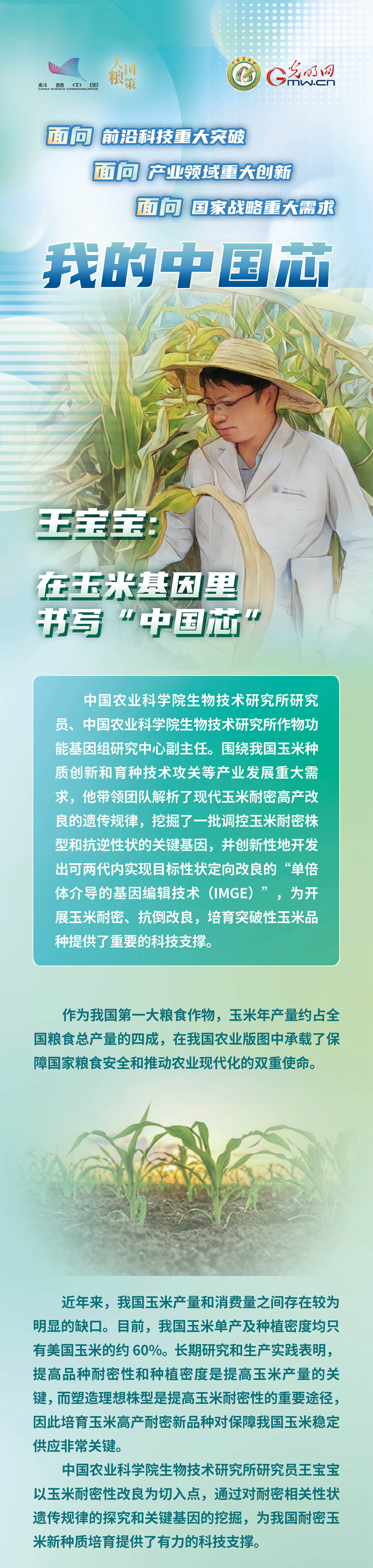 【大国粮策】我的中国芯｜王宝宝：在玉米基因里书写“中国芯”