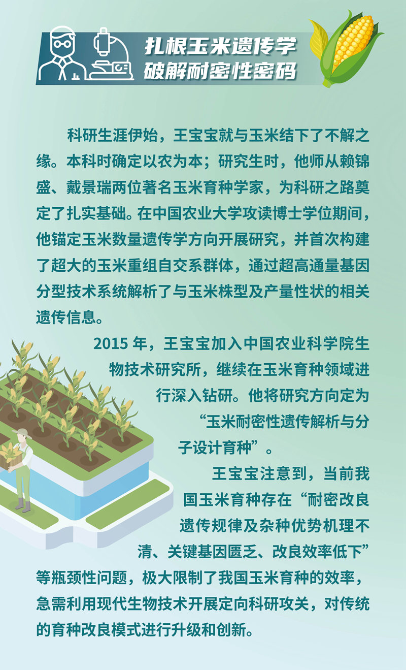 【大国粮策】我的中国芯｜王宝宝：在玉米基因里书写“中国芯”