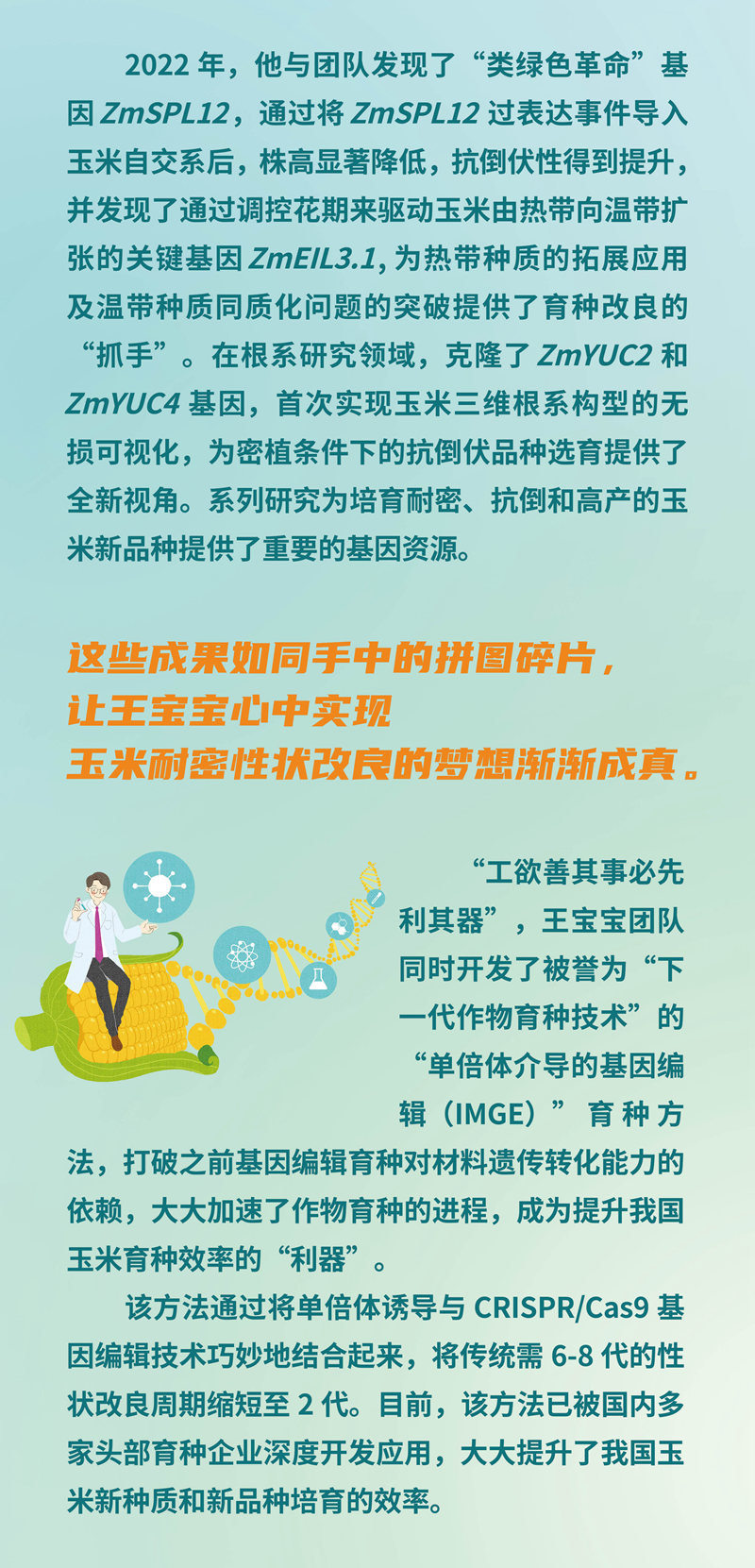【大国粮策】我的中国芯｜王宝宝：在玉米基因里书写“中国芯”