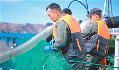 新疆：“水产大省”养成记