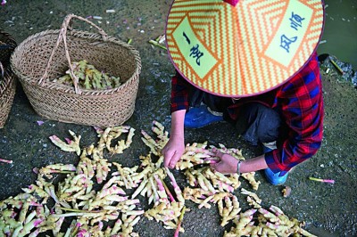 千年农耕智慧，焕发时代新光