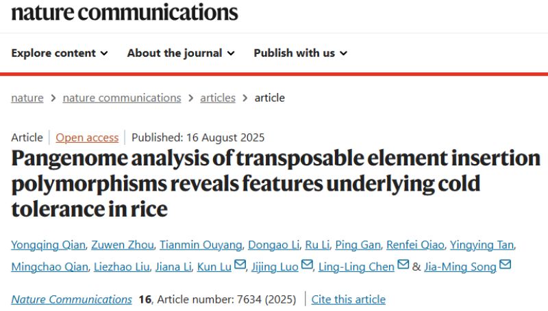 冷到发抖？转座子助力植物修炼抗冻“超能力”