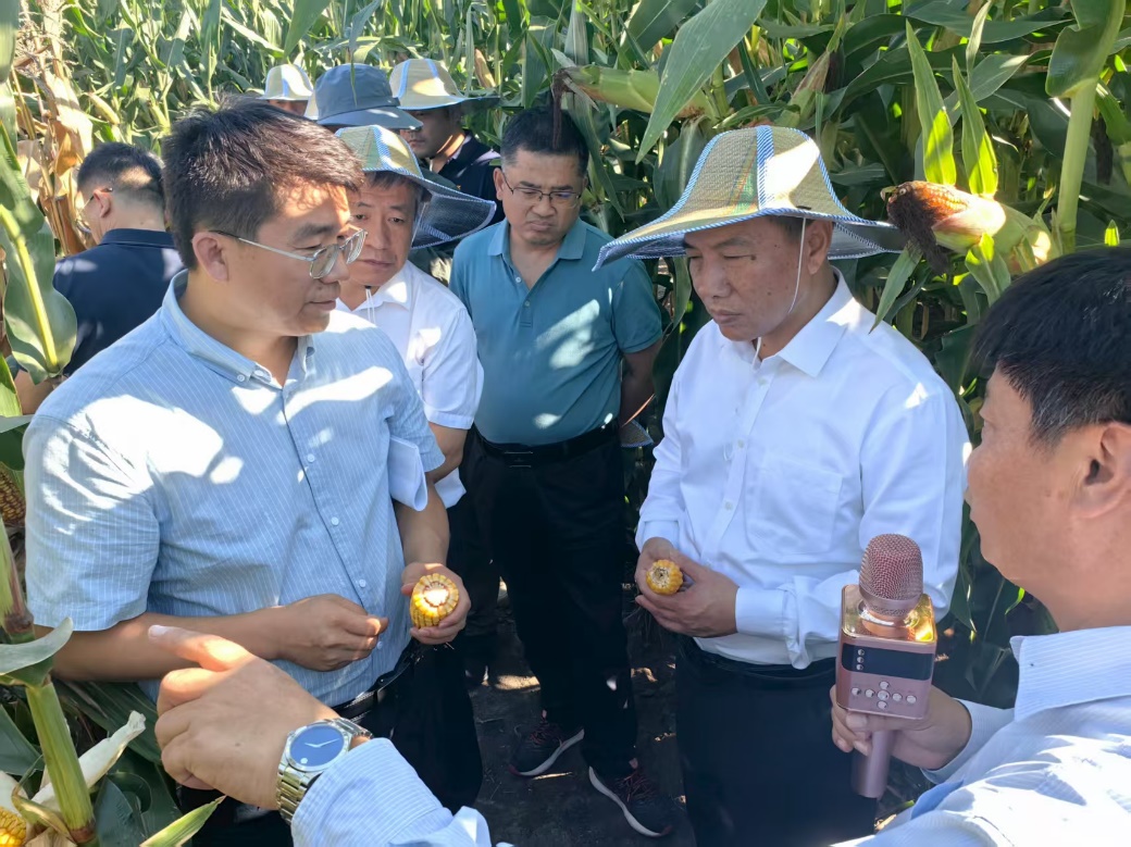 玉米种质资源改良和精准鉴定工作推进会在哈尔滨举行