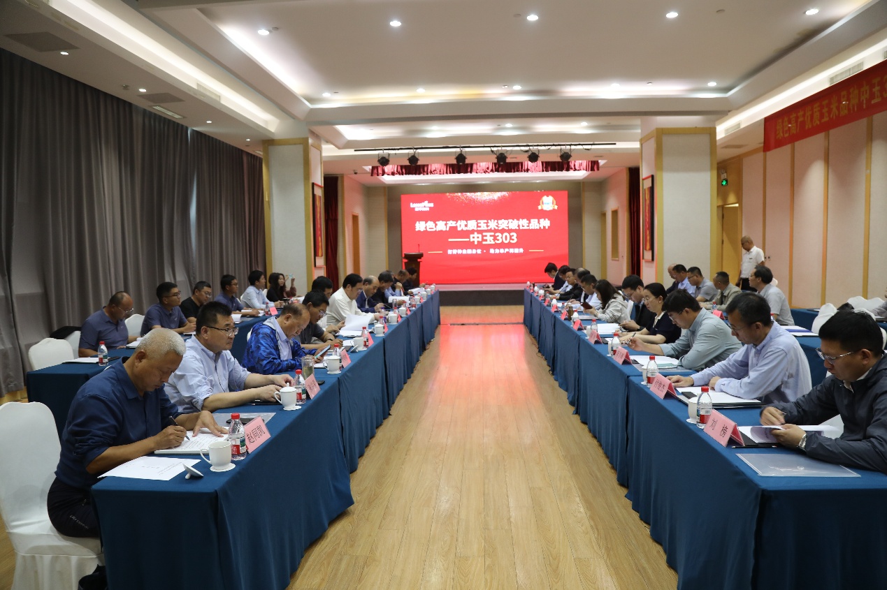 玉米新品种“中玉303”助力秋粮大面积单产提升