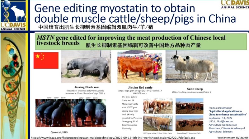 基因编辑:动物育种告别“慢功夫”,迈入“精准时代” 基因编辑:动物育种告别“慢功夫”,迈入“精准时代”