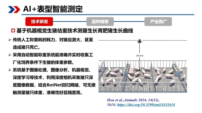 印遇龙院士:基因编辑+AI,用生物育种给地方猪“提质升级” 印遇龙院士:基因编辑+AI,用生物育种给地方猪“提质升级”