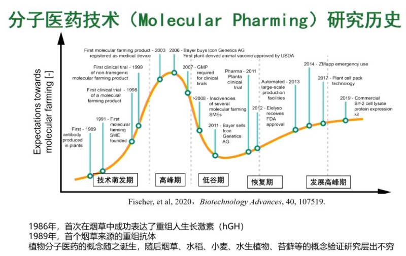 碗里的大米不简单!育种技术让它“种”出救命药 碗里的大米不简单!育种技术让它“种”出救命药