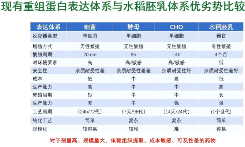 碗里的大米不简单!育种技术让它“种”出救命药 碗里的大米不简单!育种技术让它“种”出救命药