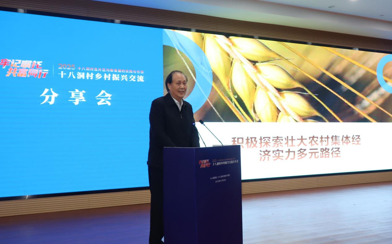 2025十八洞村乡村振兴交流分享会在湖南湘西花垣县举行