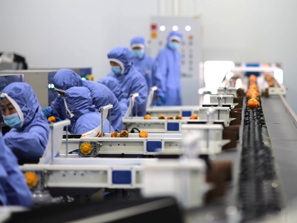 中国三星赋能乡村振兴 打造公益创新样本 中国三星赋能乡村振兴 打造公益创新样本