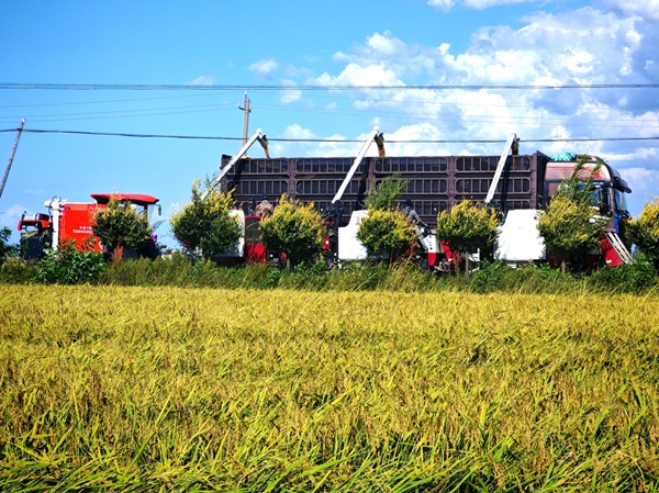 中国三星赋能乡村振兴 打造公益创新样本 中国三星赋能乡村振兴 打造公益创新样本