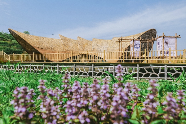 中国三星赋能乡村振兴 打造公益创新样本 中国三星赋能乡村振兴 打造公益创新样本