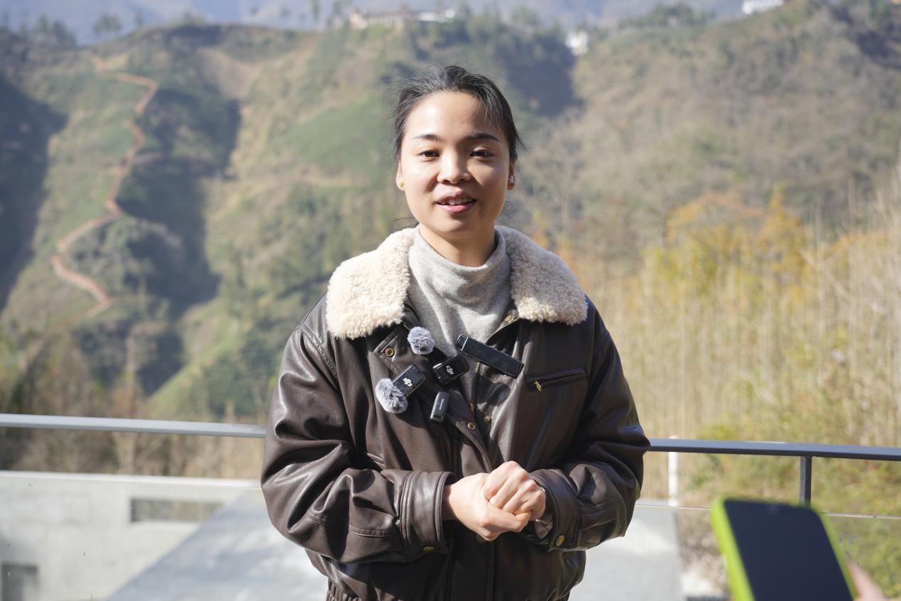 汉中镇巴：茶旅融合铺就多元增收路