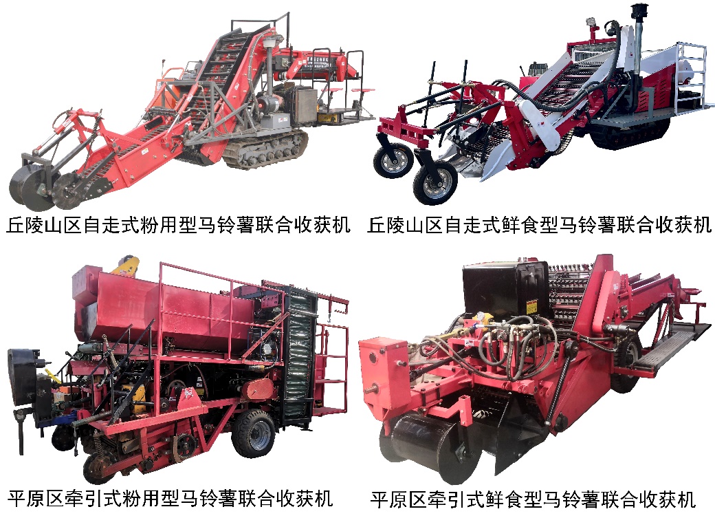 “薯”你省心！全场景定制化装备破解马铃薯收获难题