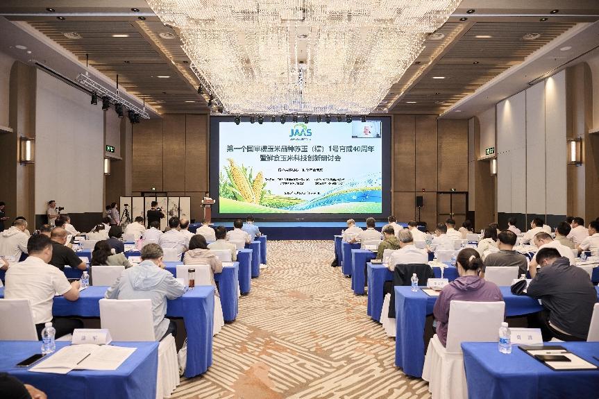 我国首个国审糯玉米品种育成40周年 专家学者共话鲜食玉米“甜糯”未来