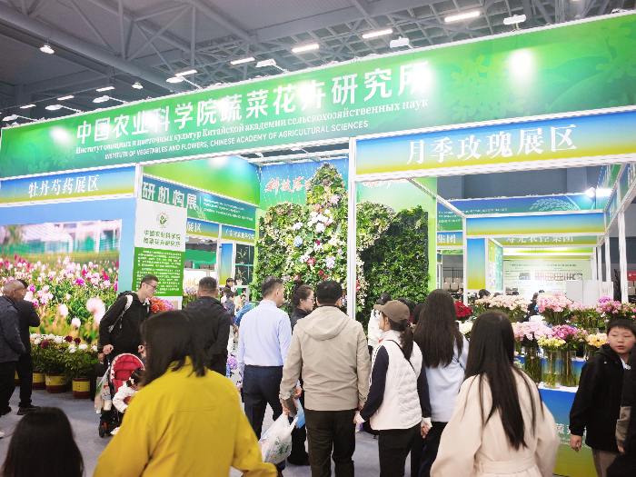 科技育繁花 种芯绽杨凌 科技育繁花 种芯绽杨凌