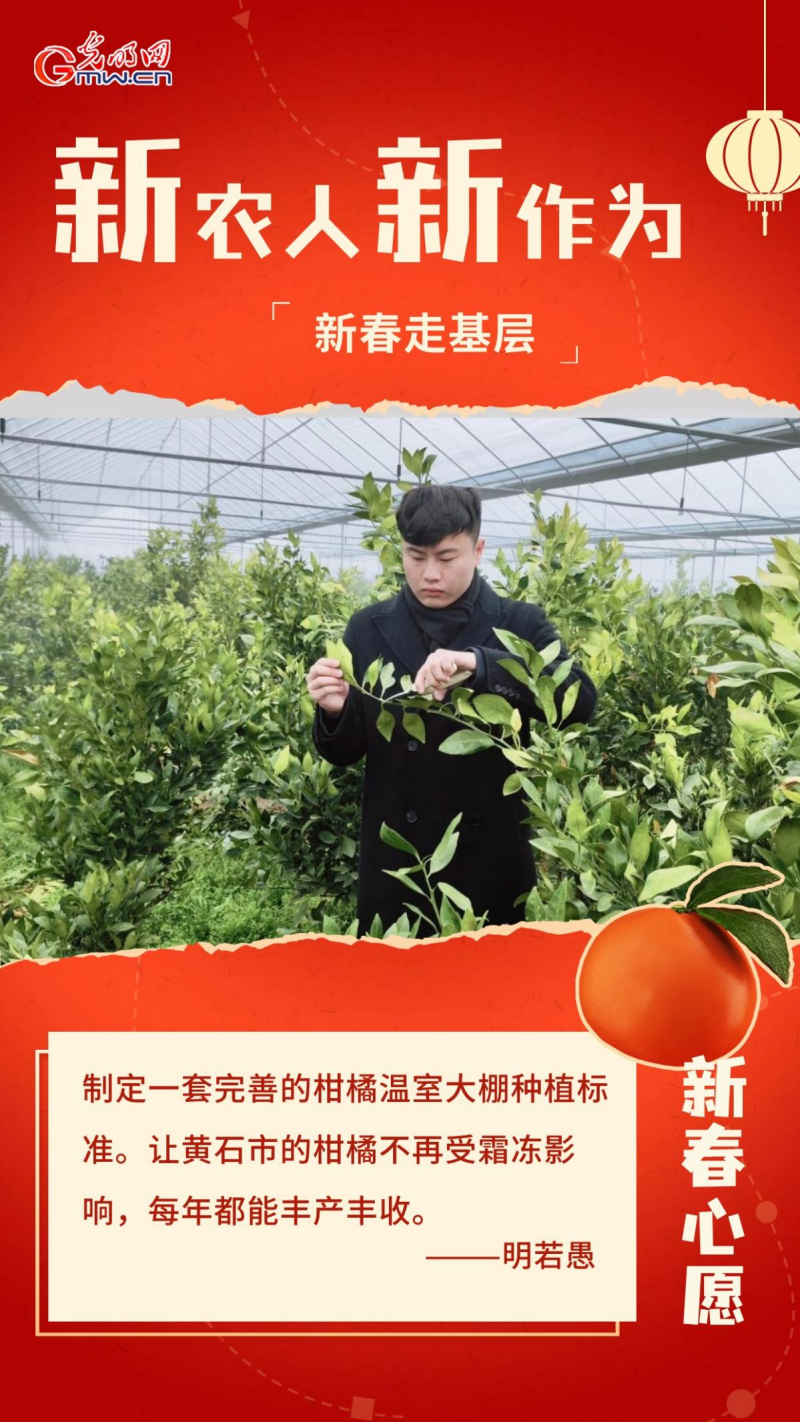 新春走基层｜95后博士“新农人”：大棚种柑橘 过个温暖年